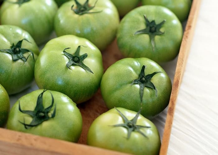Зеленые помидоры в борьбе с варикозом